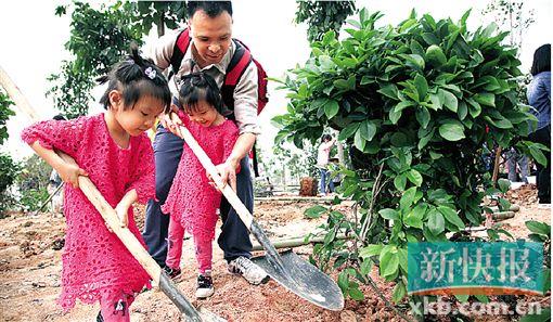 ■一对小姐妹于去年4月18日参加“我为花城添绿”活动,在广州市儿童公园挥铲种树。