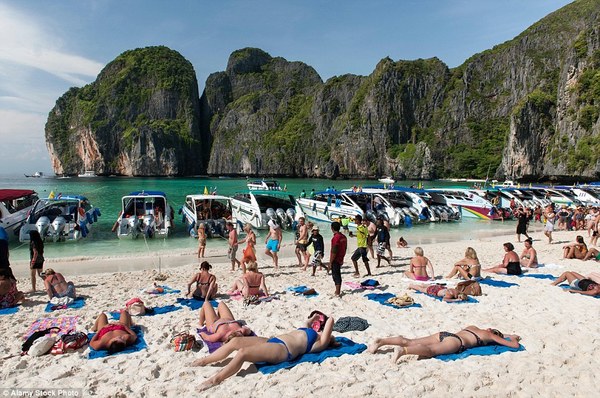 但是你真的要很早就到那里，否则你会发现已经有很多人“横”在沙滩上。（图片来源：《每日邮报》）