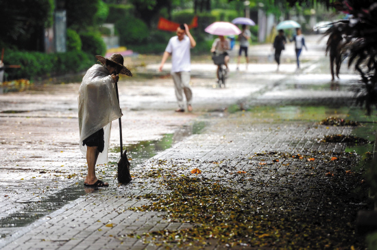 雷雨大风天气今晨杀到|阴天|阵雨