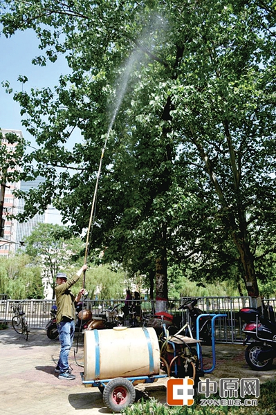 管养部门喷洒杀虫剂治理