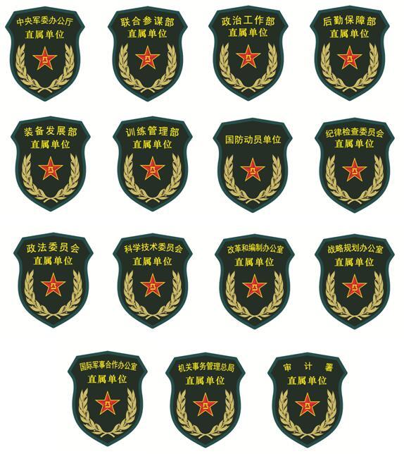 计师揭秘解放军15式系列臂章胸标(组图)|军种|