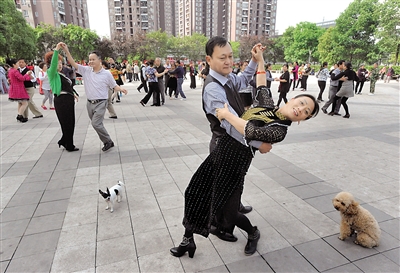 昨日,两江新区康庄美地公租房一社区广场,陈大姐夫妇带着她家的狗狗和街坊邻居一起跳坝坝舞。她说:这就是她要的幸福生活。 本报记者 杨新宇 摄