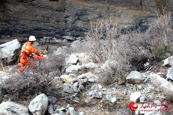 搜救犬正在搜索山下是否有被困者。