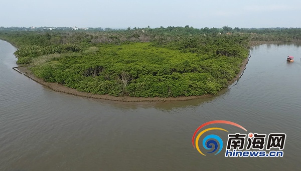 南海网推出航拍视频栏目《瞰海南》 首期聚焦东寨港_凤凰资讯