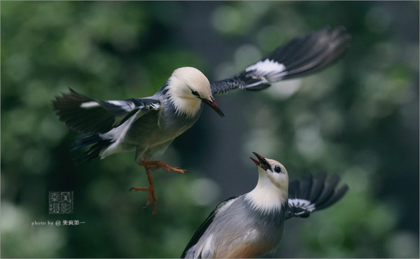 8f9dec3a-8015-48d5-a3c0-9a243b251172_size41_w600_h370.jpg