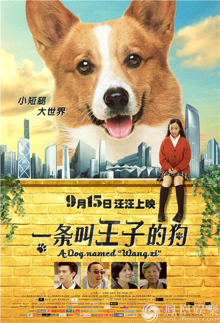 《一条叫王子的狗》发布终极预告 柯基王子城市大冒险