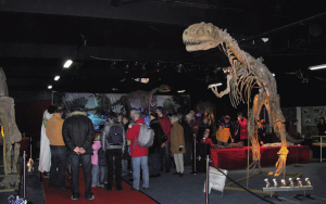 　　重庆自然博物馆恐龙化石在荷兰展出