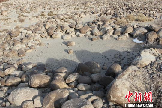 新疆和静县日前发现一处大规模的“石阵遗址”。　侯海燕　摄