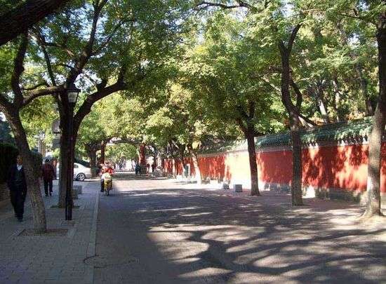 唤醒前世记忆 北京十大最具风情胡同