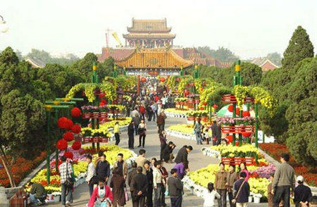 花儿不止夏天有 北京四大主题公园赏菊花