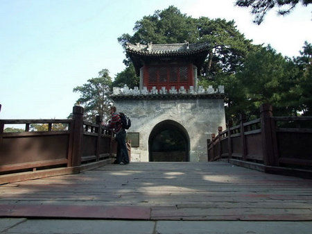 花儿不止夏天有 北京四大主题公园赏菊花