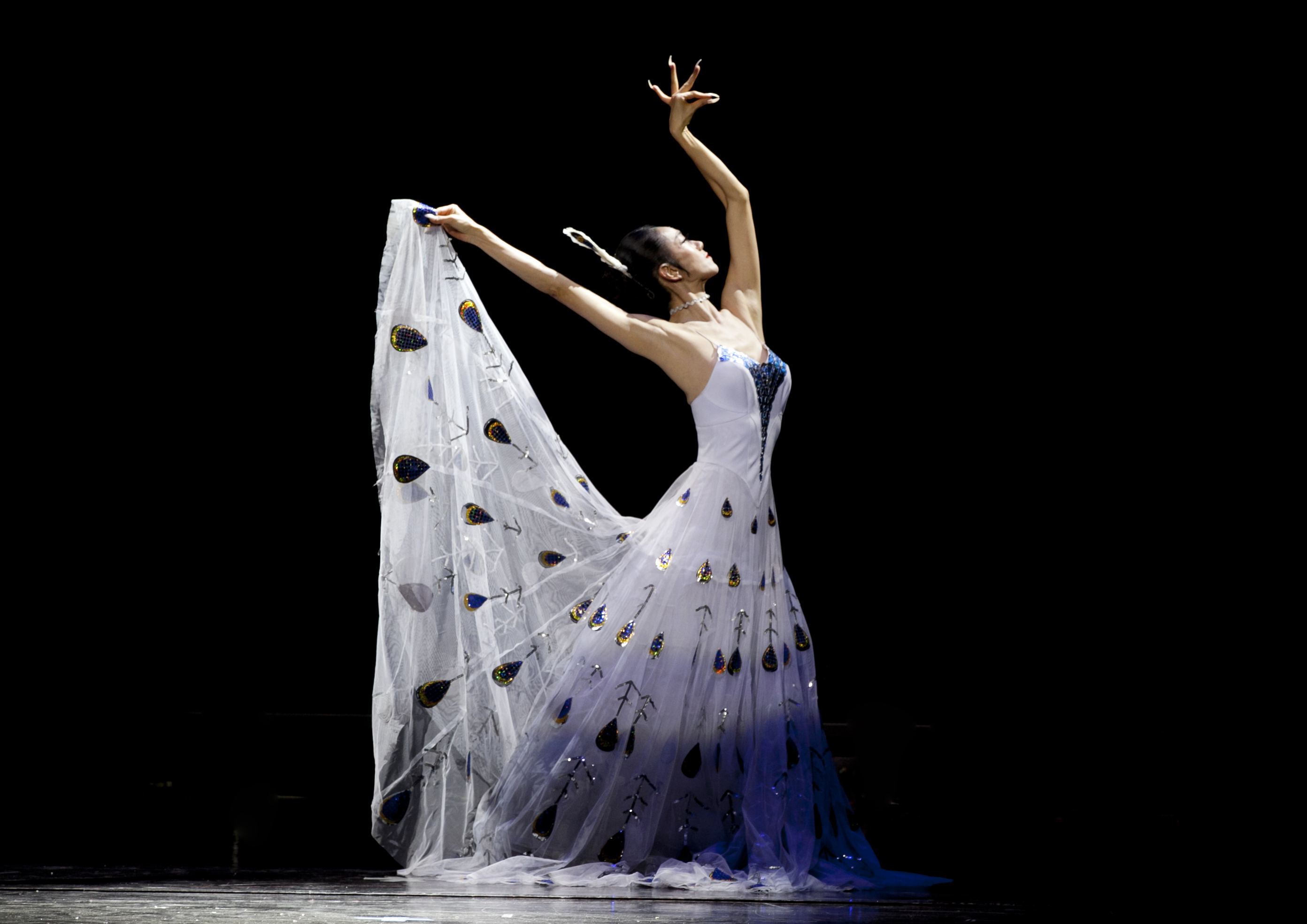 第十一届中国舞蹈荷花奖古典舞评奖系列作品四