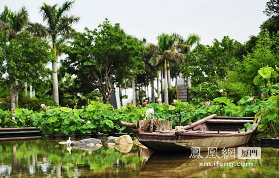 园博苑夏季荷花展开展 赏花路线介绍