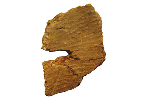 中国江西仙人洞出土最古老陶器 距今2万年