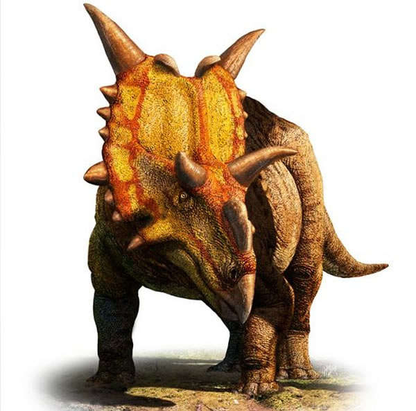 恐龙 物种/恐龙新物种Xenoceratops foremostensis艺术复原图...
