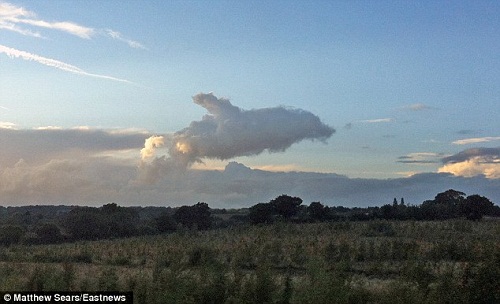 英国天空现奇特云朵 形状酷似海豚引人称奇(图)