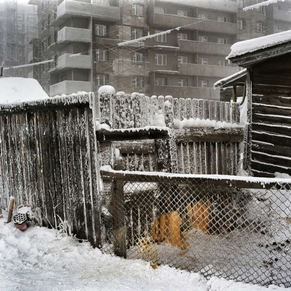 雅库茨克 人口_最冷的城市雅库茨克 人到户外立马成雪人