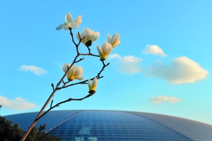 天气晴朗,风轻云淡