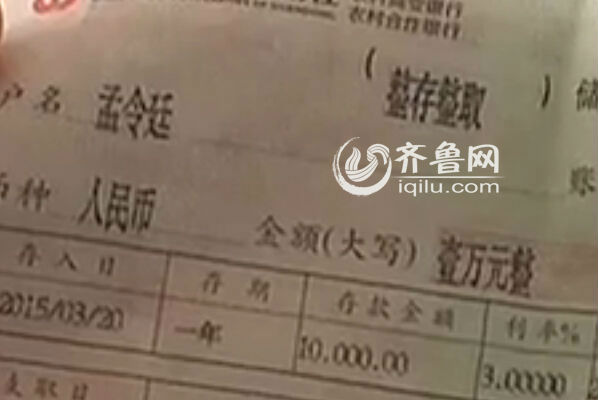 贷款收入证明_贷款担保人收入证明