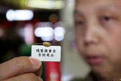 郑州老人通宵排队为用鸡蛋换黄金