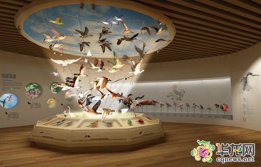 组图:重庆自然博物馆新馆明年6月开馆