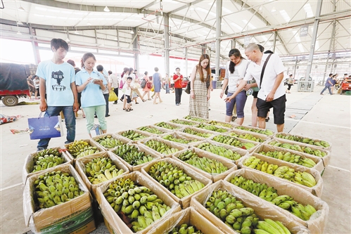 重庆最大综合性农产品批发市场双福国际农贸城