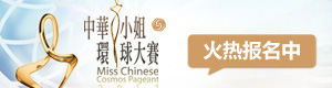 中华小姐环球大赛