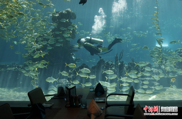 三亚一酒店推海洋主题餐厅可边用餐边欣赏海底世界