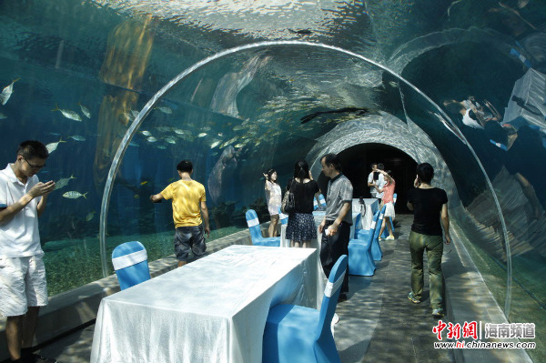 三亚一酒店推海洋主题餐厅 可边用餐边欣赏海底世界