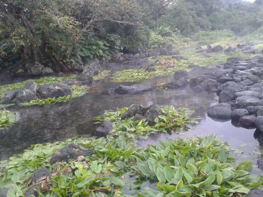 凤凰全媒体考察团走进定安 久温塘冷泉宛若仙境_海南频道_凤凰网