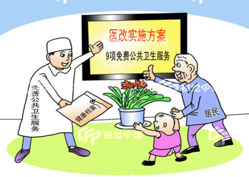 华西村人均收入_农村人均卫生费用(3)