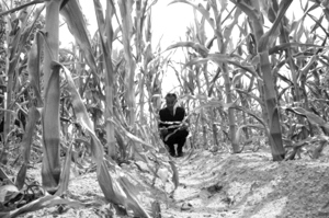 辽西、大连部分地区现旱情 本周或加重