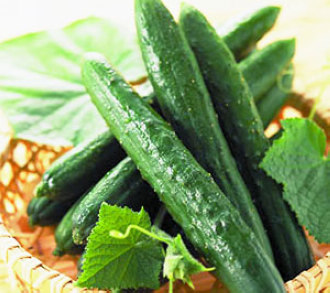 受天热影响 沈阳市场黄瓜价格最高涨至3.5元\/斤