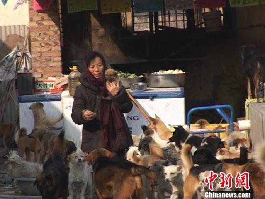狗孩子们”只要看见刘小荣，就会围拢过去 米凌子 摄
