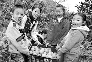 付出辛劳 收获喜悦