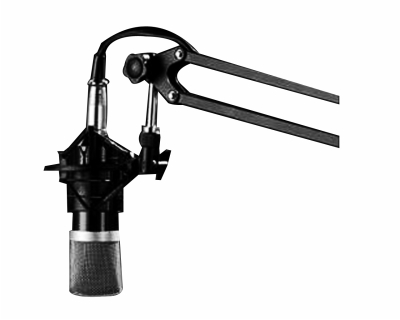 我被他们的声音深深迷住