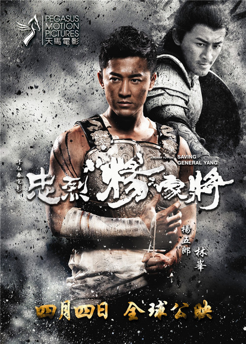 忠烈杨家将票房_忠烈杨家将票房收入(2)