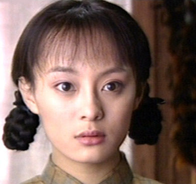 \玉观音\成名\甄嬛传\爆红