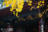 来到文殊街，顺着寺院朱红色的围墙向文殊院的大门走去，就感受到了“佛”的气息。进入文殊院这座成都市区保存最完整的佛教寺院，像是进入了一个清静的世界。（图片来源：凤凰网华人佛教  摄影：铸剑）