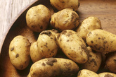土豆能留住岁月的脚步：
土豆有营养，是抗衰老的食物。它含有丰富的维生素B1、B2、B6和泛酸等B群维生素及大量的优质纤维素，还含有微量元素、氨基酸、蛋白质、脂肪和优质淀粉等营养元素。经常吃土豆的人身体健康，老的慢。（东方IC/供图）

