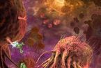 2011最佳科学摄影：乳腺癌细胞似外星生物