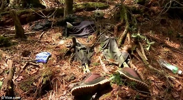 探日本自杀森林 富士山每年发现百具尸体