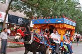 新疆维吾尔自治区吐鲁番地区鄯善县，穿梭在充满浓郁民族风情的街道上的毛驴“的士”，成为这个古老城市里的一道亮丽风景。
