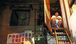 湖南钉子户养3狼狗1藏獒防偷拆(图)