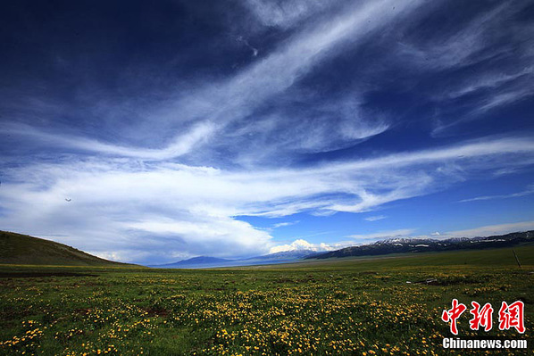 新疆赛里木湖六月风景最迷人