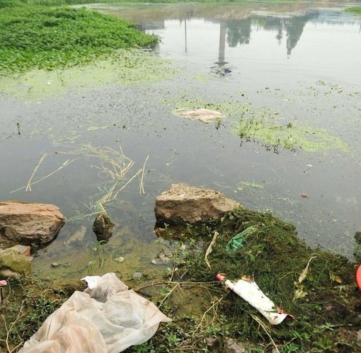 中国人在喝什么水:那些严重污染的河流
