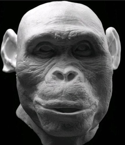 法医重塑700万年前人类祖先面部
