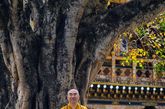普那卡宗一直被誉为不丹最美的宗建筑。宗内共有三进庭院。首先是行政中心，庭院中有棵壮硕参天的菩提树。（图片来源：凤凰网华人佛教  图文：宏宗法师）