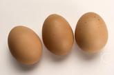 松花蛋

　　含有一定量的铅，常食会引起宝宝铅中毒。铅中毒时的表现为失眠、贫血、好动、智力减退等。
