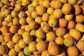 橙子：维生素丰富。同类食物：柠檬、葡萄柚。建议：每天吃1个。柑橘类水果富含维生素C及其他重要的营养素，研究发现，橙子可以维持心脏健康，并且预防癌症、中风、糖尿病以及许多慢性疾病。
